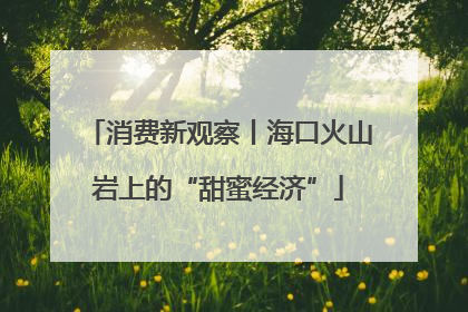 消费新观察丨海口火山岩上的“甜蜜经济”