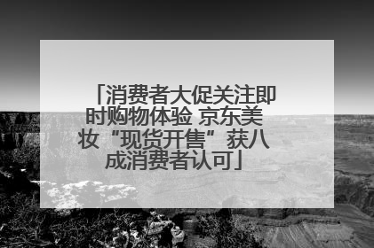 消费者大促关注即时购物体验 京东美妆“现货开售”获八成消费者认可