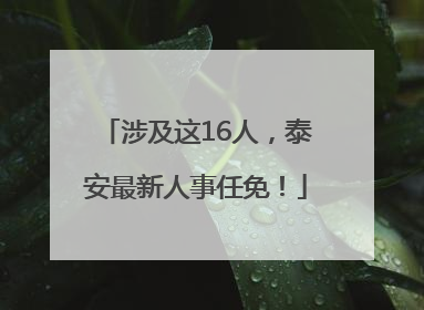 涉及这16人，泰安最新人事任免！