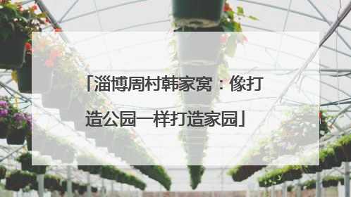 淄博周村韩家窝：像打造公园一样打造家园