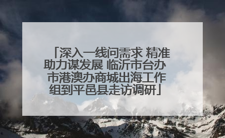 深入一线问需求 精准助力谋发展 临沂市台办 市港澳办商城出海工作组到平邑县走访调研