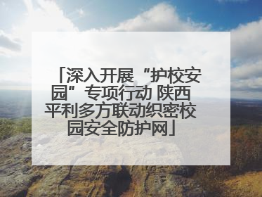 深入开展“护校安园”专项行动 陕西平利多方联动织密校园安全防护网