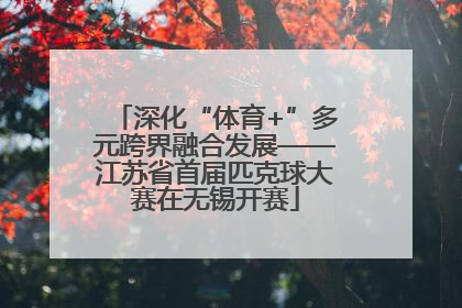 深化“体育+”多元跨界融合发展——江苏省首届匹克球大赛在无锡开赛