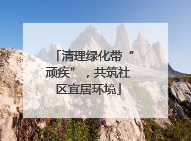 清理绿化带“顽疾”，共筑社区宜居环境