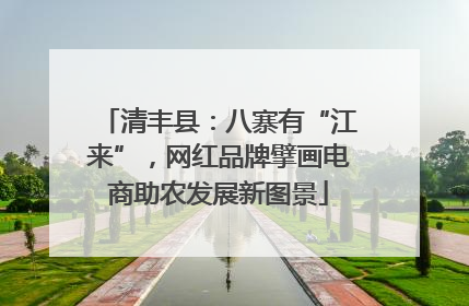 清丰县：八寨有“江来”，网红品牌擘画电商助农发展新图景