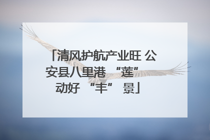 清风护航产业旺 公安县八里港 “莲” 动好 “丰” 景
