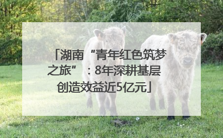 湖南“青年红色筑梦之旅”：8年深耕基层创造效益近5亿元