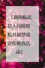 湖南临武县人民检察院开展禁毒宣传教育活动