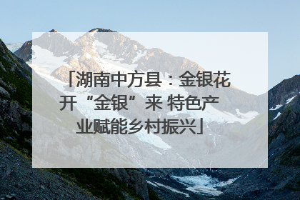 湖南中方县：金银花开“金银”来 特色产业赋能乡村振兴