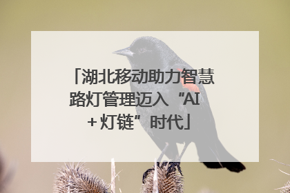 湖北移动助力智慧路灯管理迈入“AI＋灯链”时代