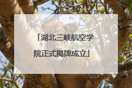 湖北三峡航空学院正式揭牌成立