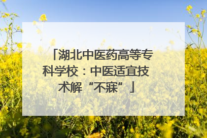 湖北中医药高等专科学校：中医适宜技术解“不寐”