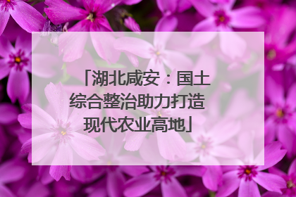 湖北咸安：国土综合整治助力打造现代农业高地