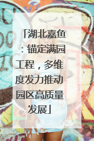 湖北嘉鱼：锚定满园工程，多维度发力推动园区高质量发展