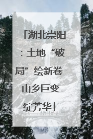 湖北崇阳：土地“破局”绘新卷 山乡巨变绽芳华
