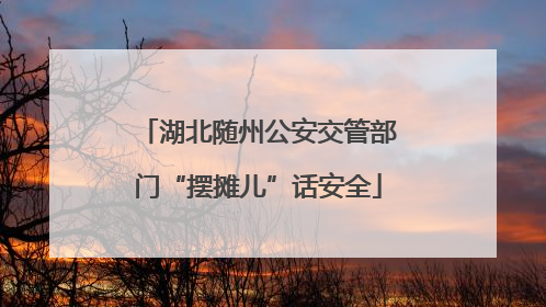 湖北随州公安交管部门“摆摊儿”话安全