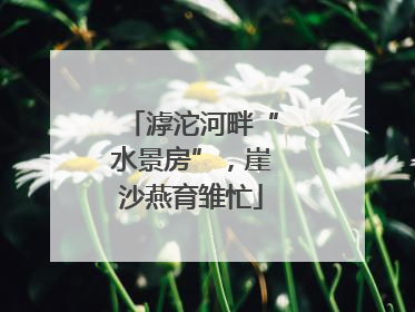 滹沱河畔“水景房”，崖沙燕育雏忙