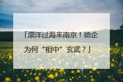 漂洋过海来南京！德企为何“相中”玄武？