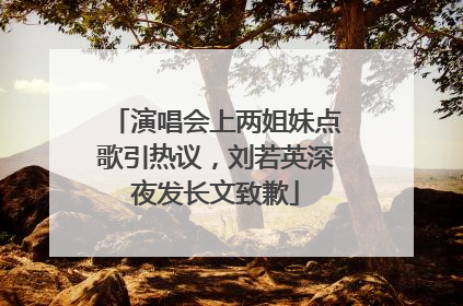 演唱会上两姐妹点歌引热议，刘若英深夜发长文致歉