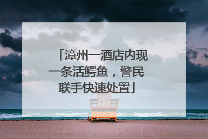 漳州一酒店内现一条活鳄鱼，警民联手快速处置