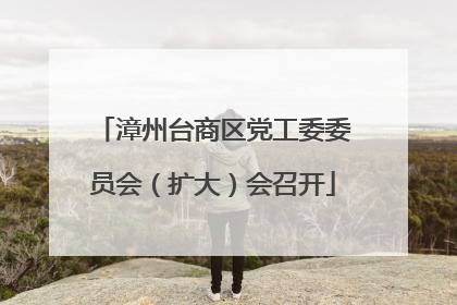 漳州台商区党工委委员会（扩大）会召开