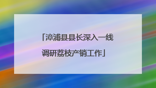漳浦县县长深入一线调研荔枝产销工作