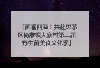 菌香四溢！共赴思茅区倚象镇大寨村第二届野生菌美食文化季