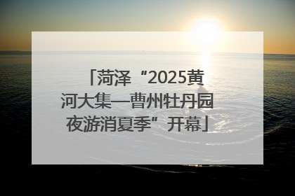 菏泽“2025黄河大集—曹州牡丹园夜游消夏季”开幕