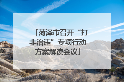 菏泽市召开“打非治违”专项行动方案解读会议