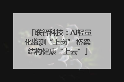 联智科技：AI轻量化监测“上岗” 桥梁结构健康“上云”
