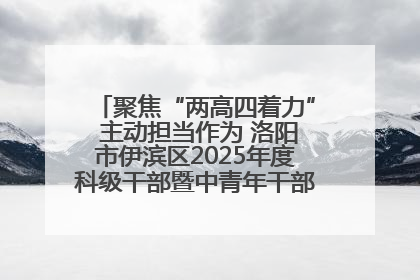 聚焦“两高四着力” 主动担当作为 洛阳市伊滨区2025年度科级干部暨中青年干部培训班开班