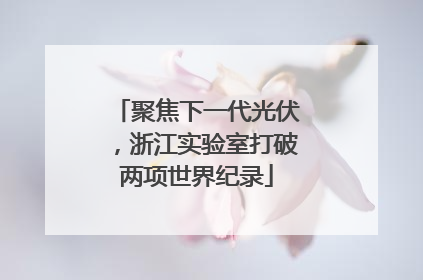聚焦下一代光伏，浙江实验室打破两项世界纪录