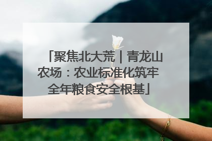 聚焦北大荒｜青龙山农场：农业标准化筑牢全年粮食安全根基