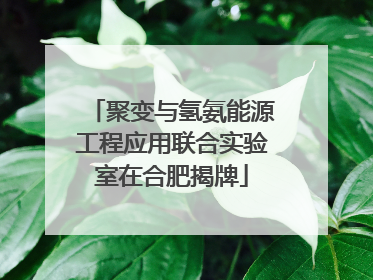 聚变与氢氨能源工程应用联合实验室在合肥揭牌
