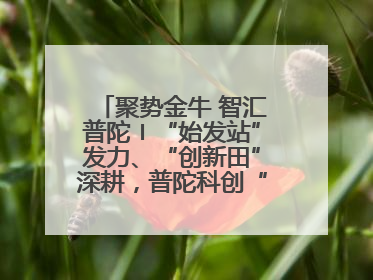 聚势金牛 智汇普陀〡“始发站”发力、“创新田”深耕，普陀科创“金牛”闪耀