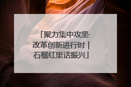 聚力集中攻坚·改革创新进行时｜石榴红里话振兴