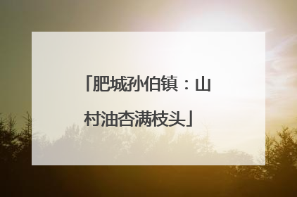 肥城孙伯镇：山村油杏满枝头