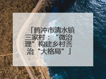 腾冲市清水镇三家村：“微治理”构建乡村善治“大格局”