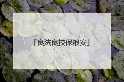 良法良技保粮安