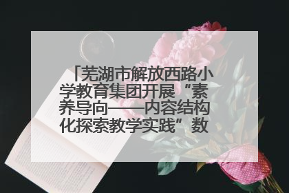 芜湖市解放西路小学教育集团开展“素养导向——内容结构化探索教学实践”数学专题研讨活动