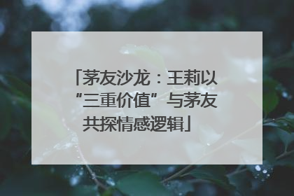 茅友沙龙：王莉以“三重价值”与茅友共探情感逻辑