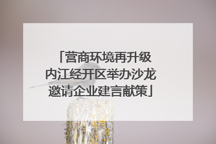营商环境再升级 内江经开区举办沙龙邀请企业建言献策