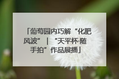 葡萄园内巧解“化肥风波”｜“天平杯·随手拍”作品展播