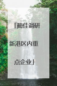 蔺佳调研新港区内重点企业