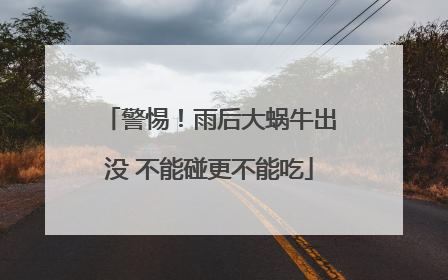 警惕！雨后大蜗牛出没 不能碰更不能吃