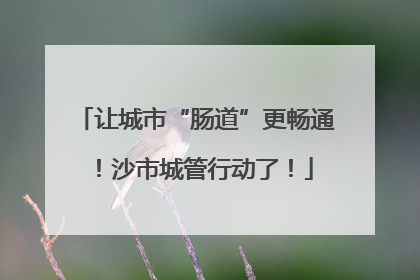 让城市“肠道”更畅通！沙市城管行动了！