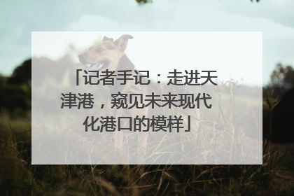 记者手记：走进天津港，窥见未来现代化港口的模样
