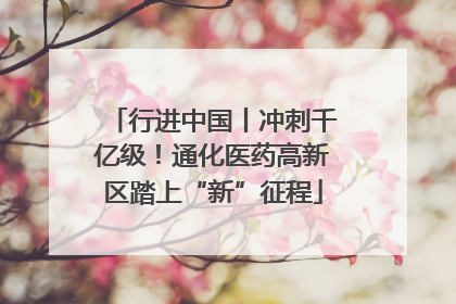 行进中国丨冲刺千亿级！通化医药高新区踏上“新”征程