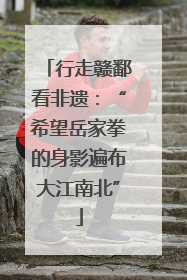 行走赣鄱看非遗：“希望岳家拳的身影遍布大江南北”
