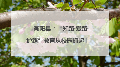 衡阳县：“知路·爱路·护路”教育从校园抓起